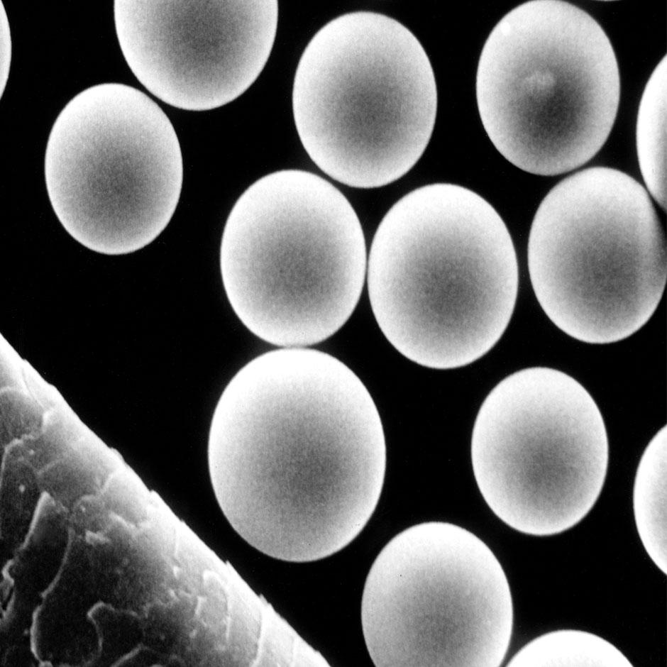 TheraSphere™ Microspheres and Human Hair