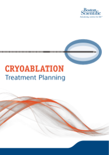 Cryoablation Treatment Planning