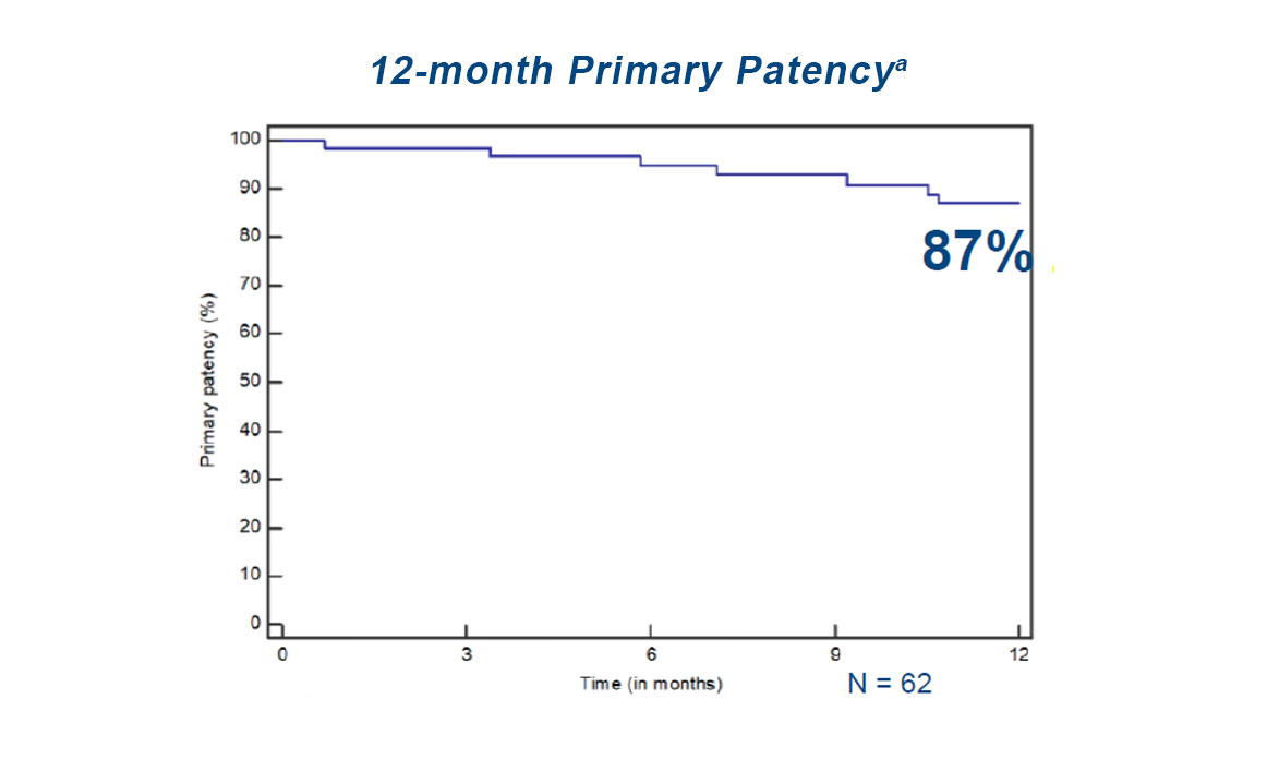 Chart of 12-month Primary Patency 