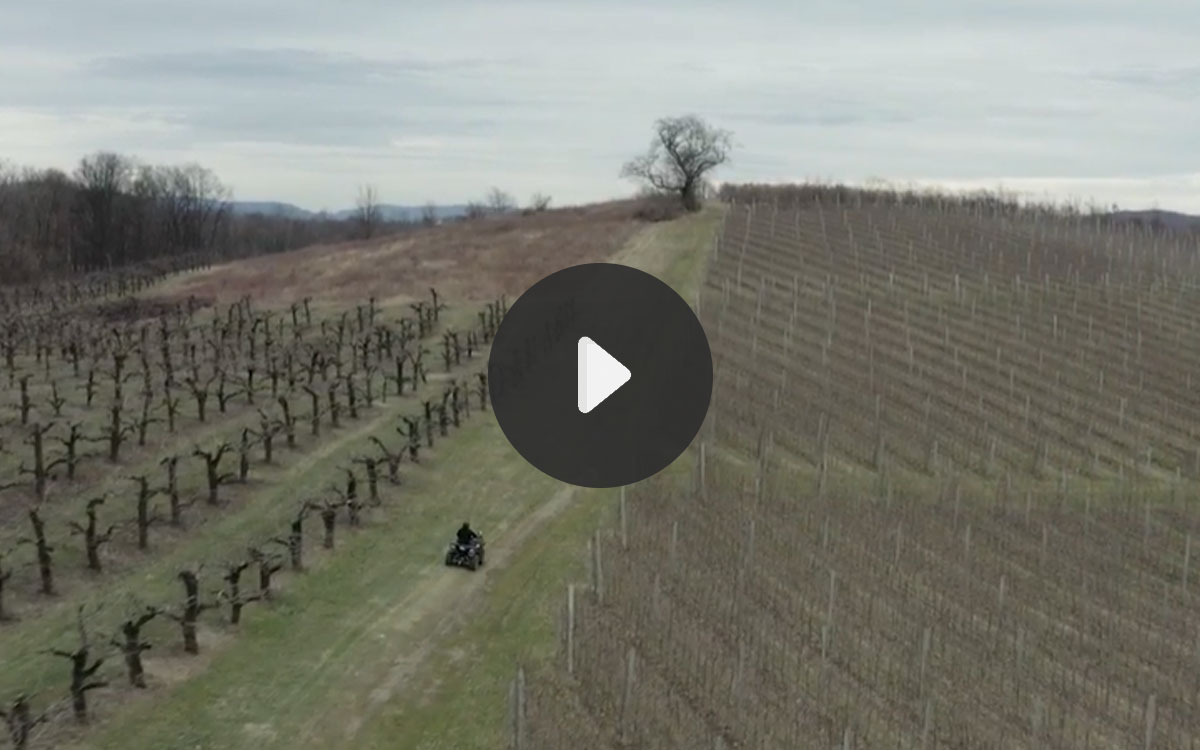 Video still. Landscape shot of a field and Robert driving a 4-wheeler up a hill. 