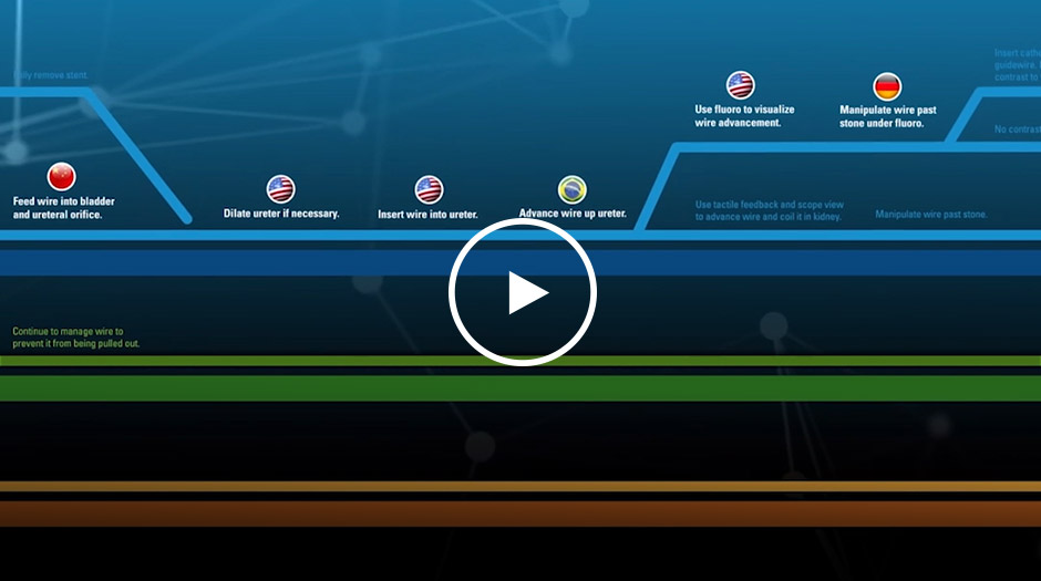 LithoVue Empower™ Retrieval Deployment Device.