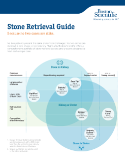 Stone Retrieval Guide 