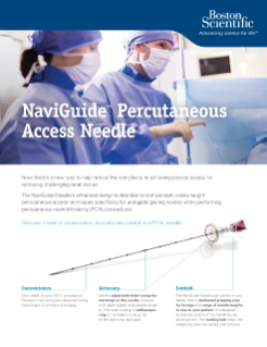 Naviguide Percutaneous Access Needle 