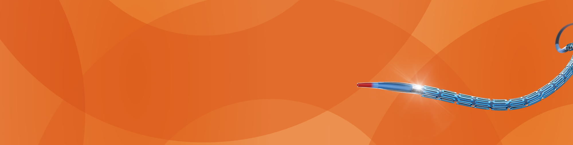 SYNERGY™ XD Bioabsorbable Polymer Stent System