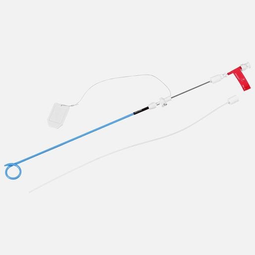 Non-Vascular Interventions