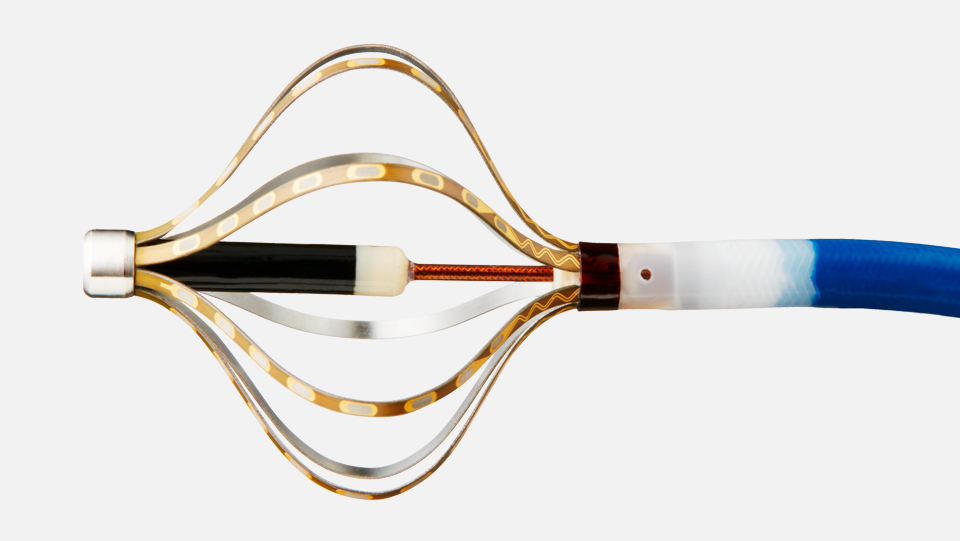 The tip of the eight-spline Intellanav Orion cardiac mapping catheter with catheter electrodes displayed
