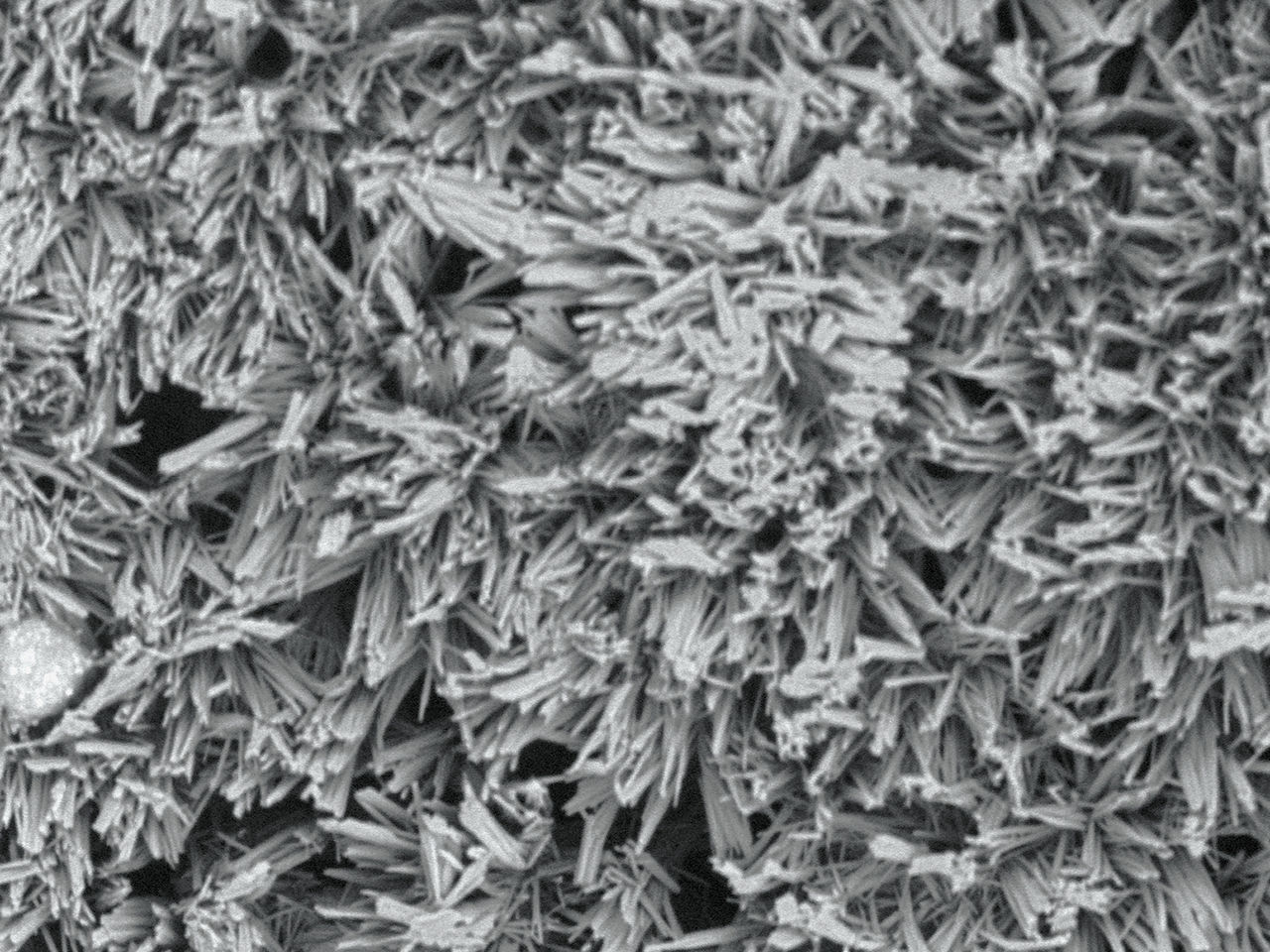 Uniform crystalline formulation maintains the Paciltaxel through the healing process.