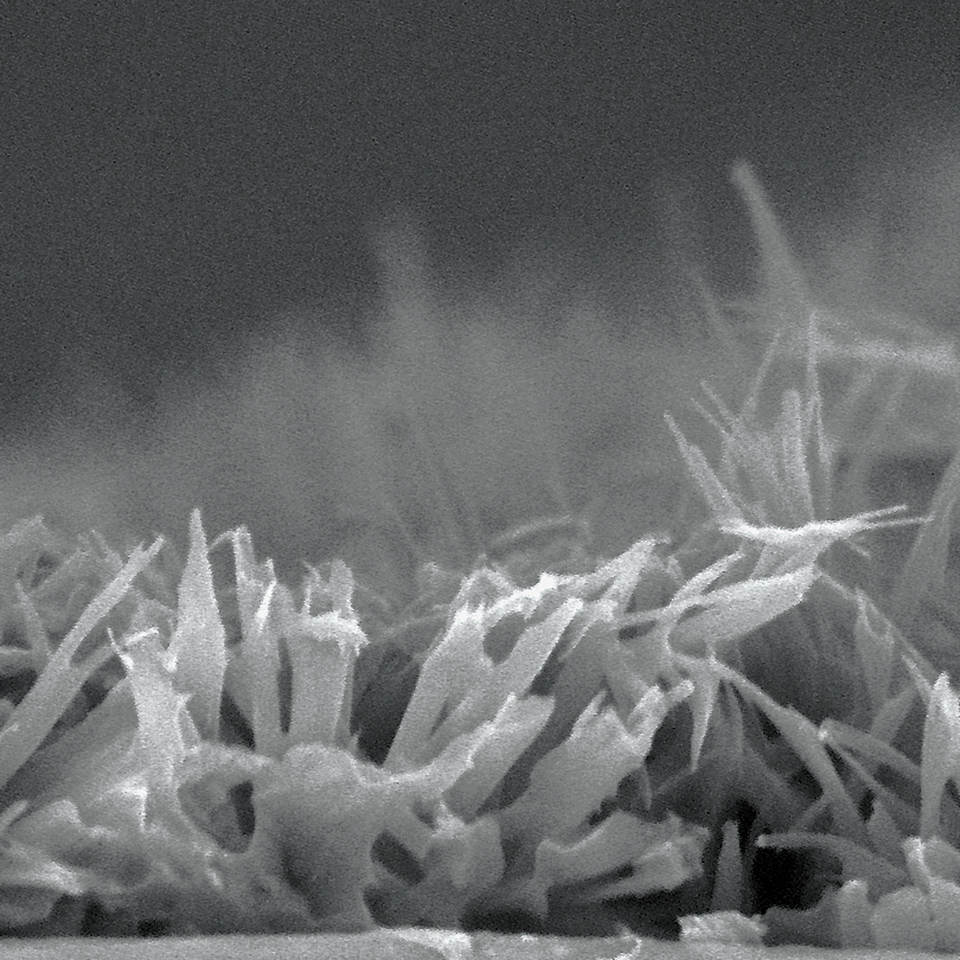 Sharp microscopic Paciltaxel (PTX) structure that enhances tissue absorption.