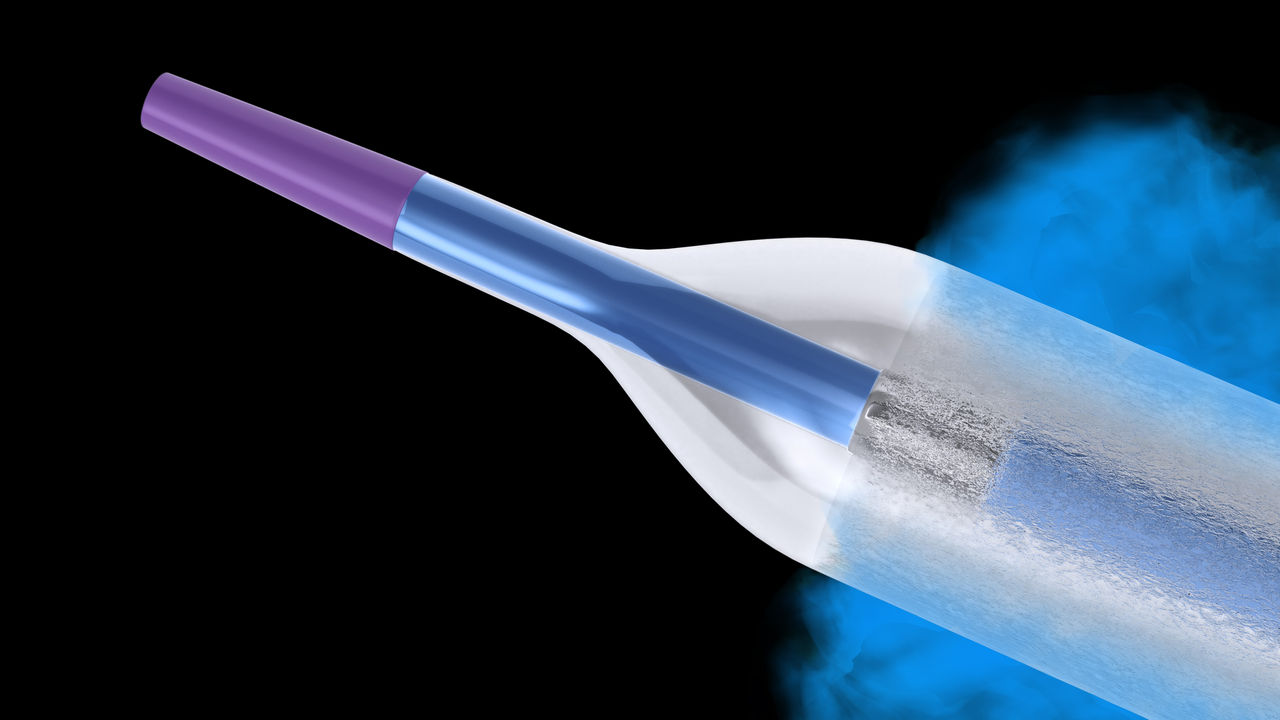 Ranger™ Paclitaxel-Coated PTA Balloon Catheter.