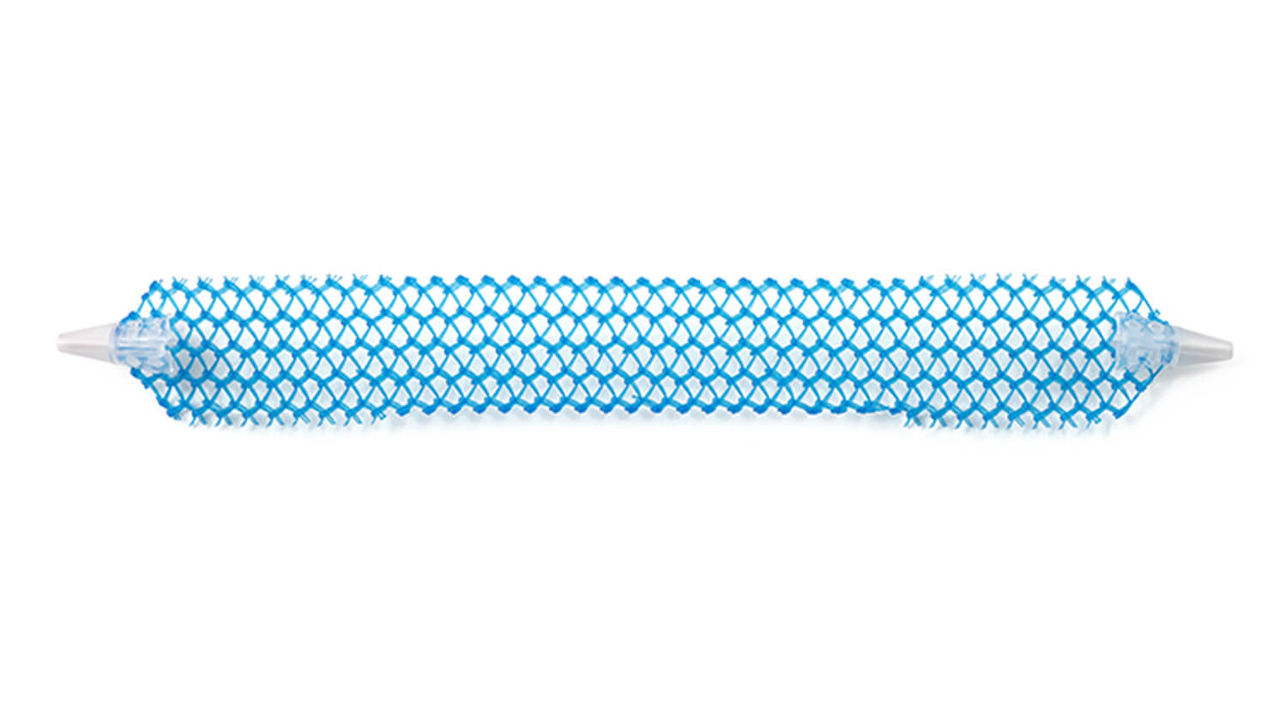 Solyx mesh showing tanged and detanged edges.