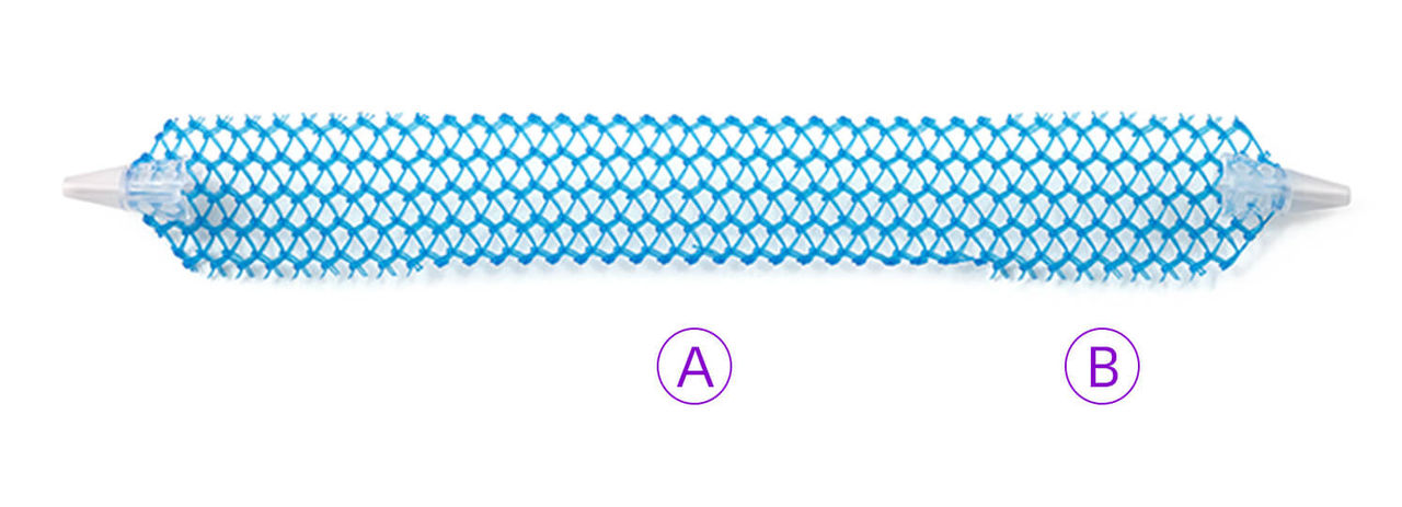 Solyx mesh showing tanged and detanged edges.