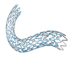 SYNERGY Coronary Stent System