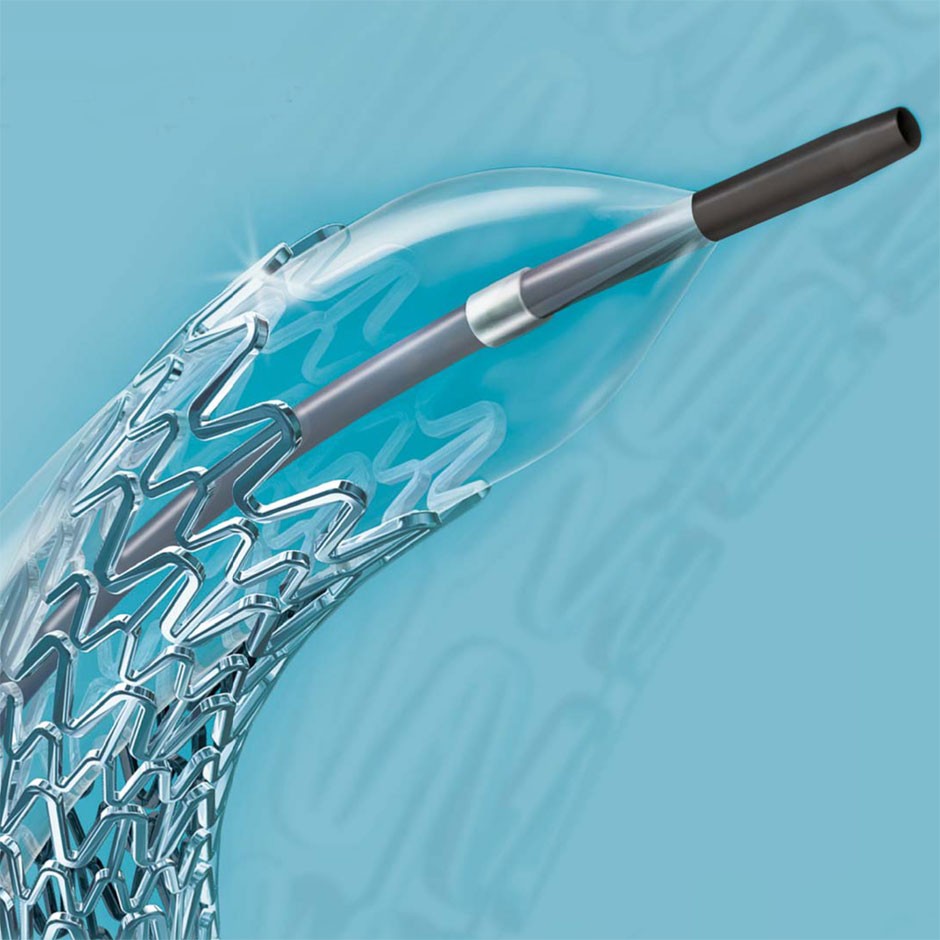 Express™ Vascular LD Peripheral Stent System