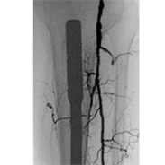 Descripción general de casos prácticos 12