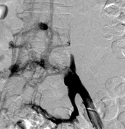 Descripción general de casos prácticos 4