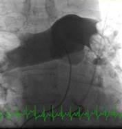 Descripción general de casos prácticos 7