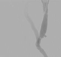 Descripción general de casos prácticos 10