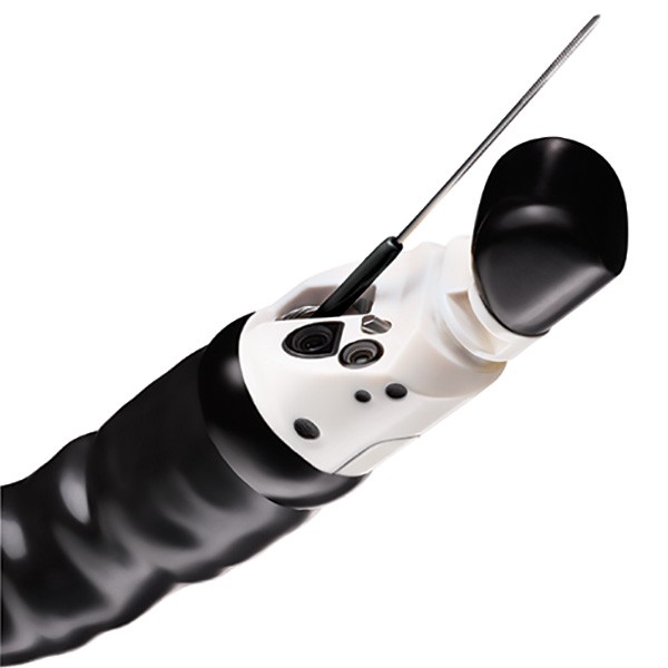 Image showing echogenic pattern extended onto needle tip