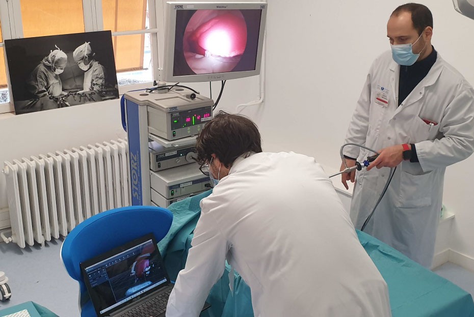 Clinical Data