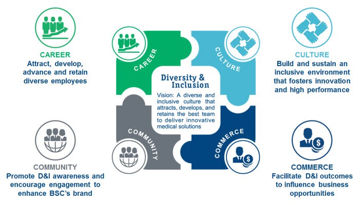 Diversity and Inclusion vision and strategy.