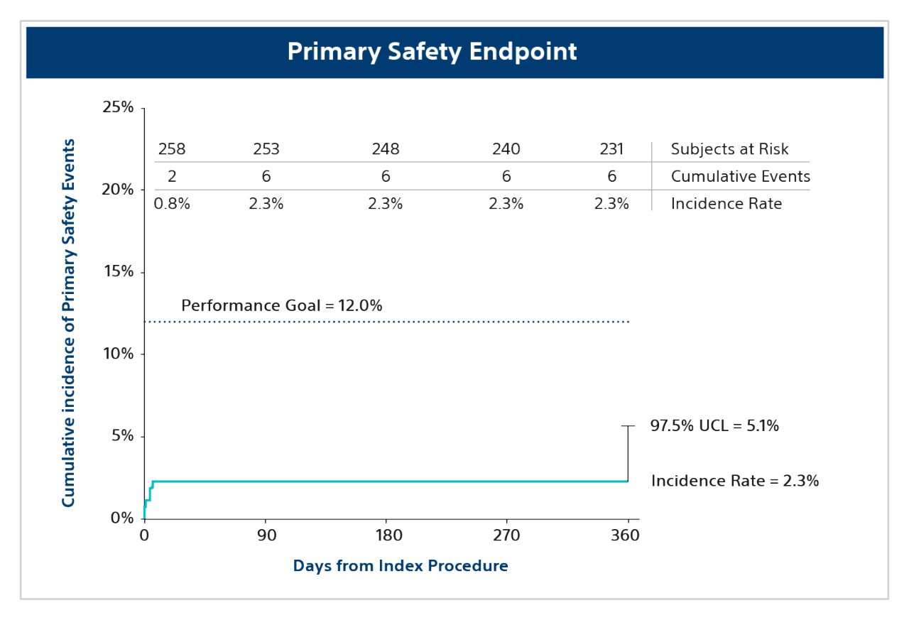 Composite safety endpoint table showing serious ablation-related adverse events within 7 days and long-term risks up to 12 months