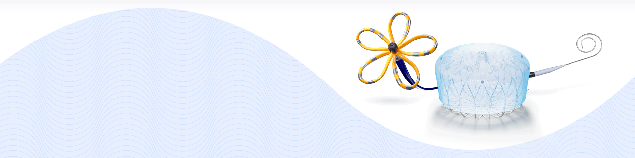 FARAWATCH featuring FARAPULSE PFA, WATCHMAN FLX Pro and VersaCross Connect for AF treatment and stroke protection