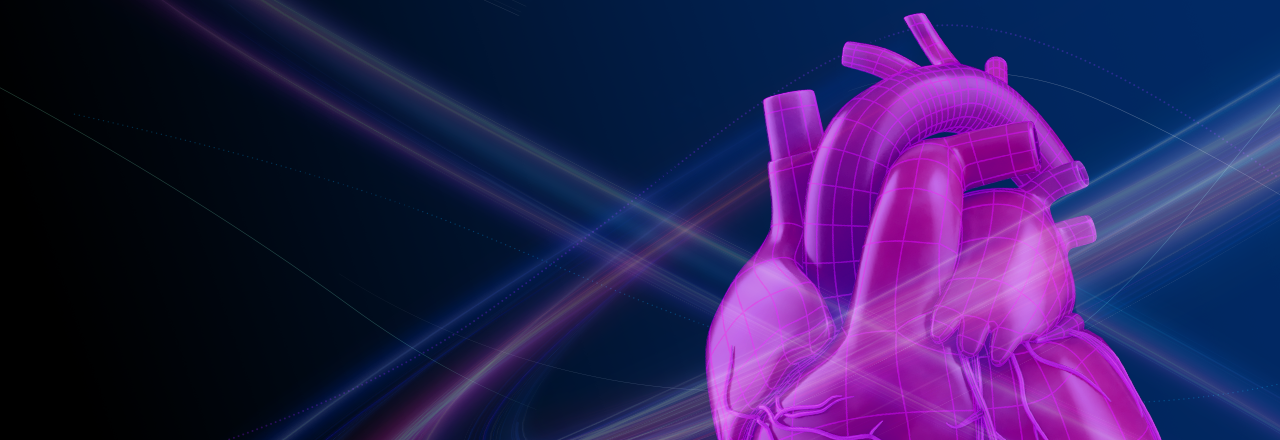 Dark-themed S-ICD and heart anatomical visual