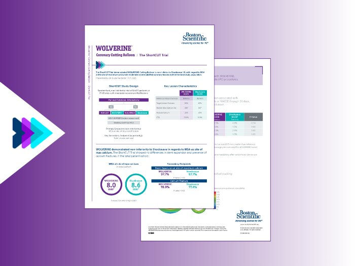 EMJ-Interventional-Cardiology-10-Supplement