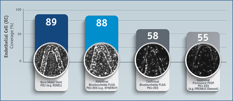 % Endothelial Cell (EC) Coverage at 21 Days in Cell Assay