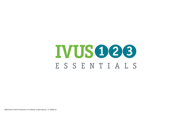 IVUS 123 Essentials: a guide to simplify IVUS workflow during the PCI procedure