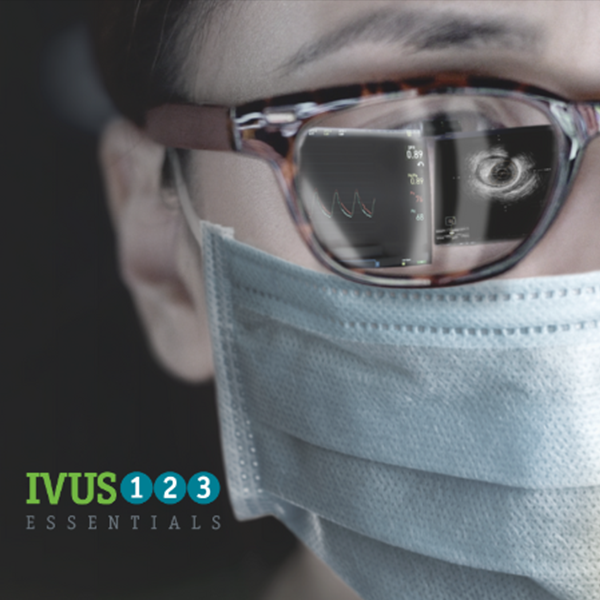 IVUS 123 Methodology: using and interpreting Intravascular Ultrasound images