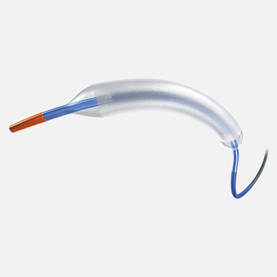 AGENT™ Paclitaxel Coated-PTCA Balloon Catheter