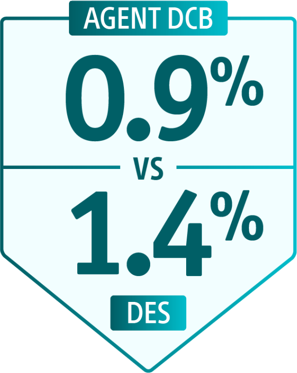 A comparison between AGENT DCB and DES