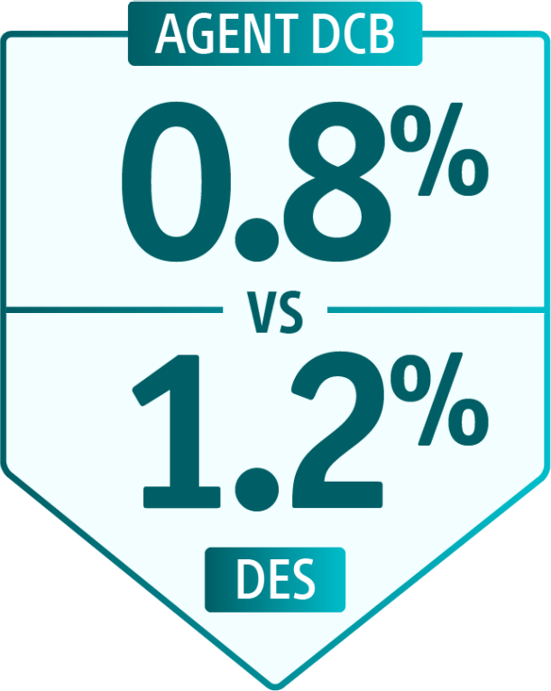 A comparison between AGENT DCB and DES