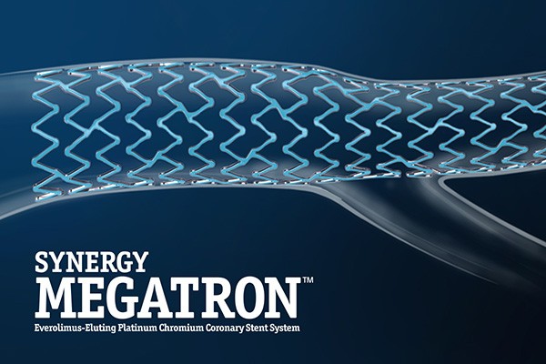 Synergy Megatron
