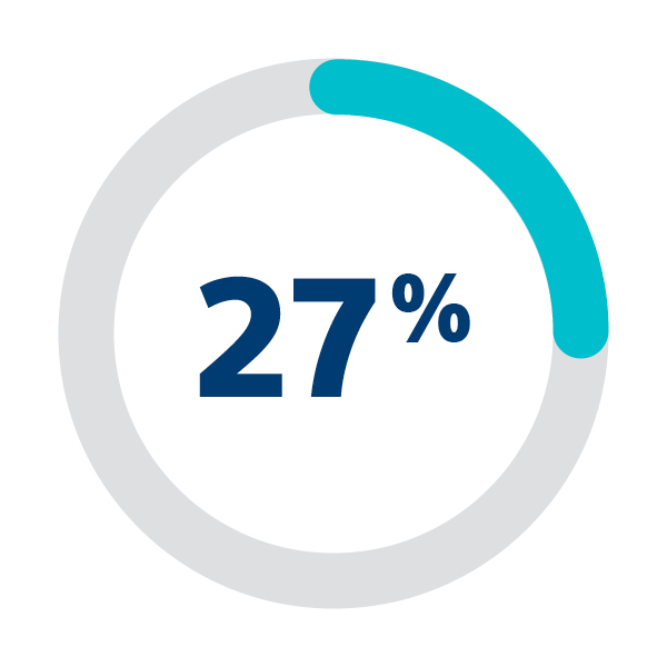 Twenty seven percent Icon
