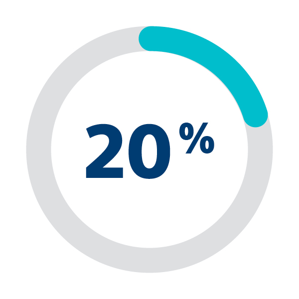 Twenty percent Icon