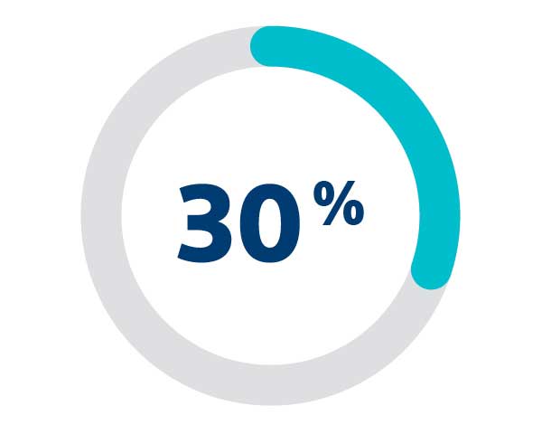Thirty percent Icon