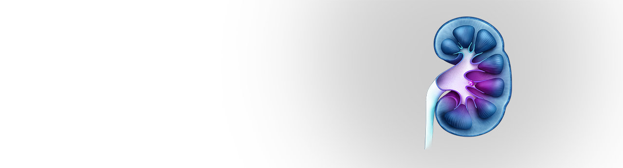 stone calcium banner