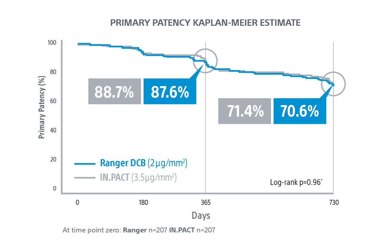  Kaplan-Meier Primary Patency Results