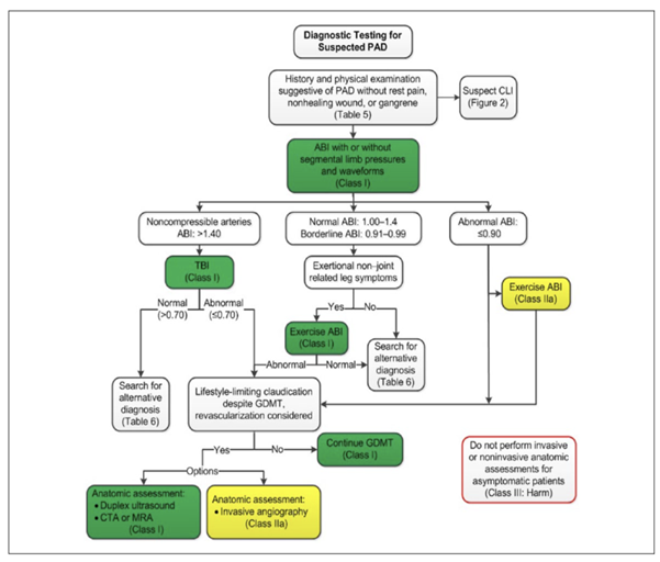 Diagnostic algorithm for peripheral arterial disease