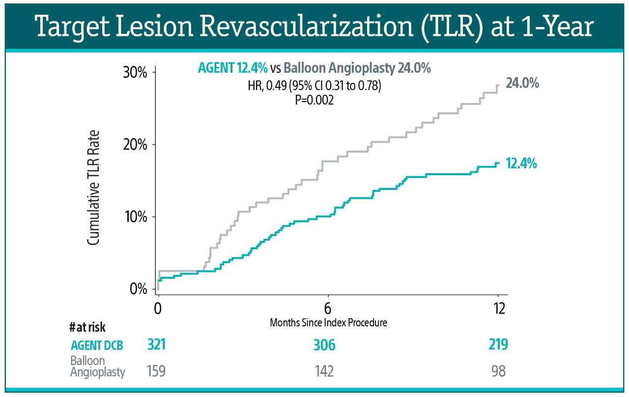 Target Lesion Revascularization at 1-Year