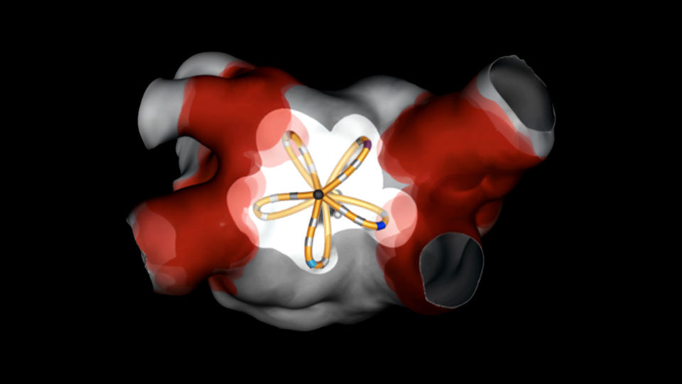 The catheter displayed on a dark background using FIELDTAG™ technology to show field volume and PFA delivery points.