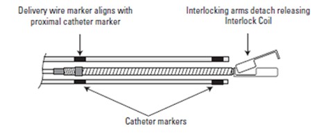 Double Marker Microcatheter