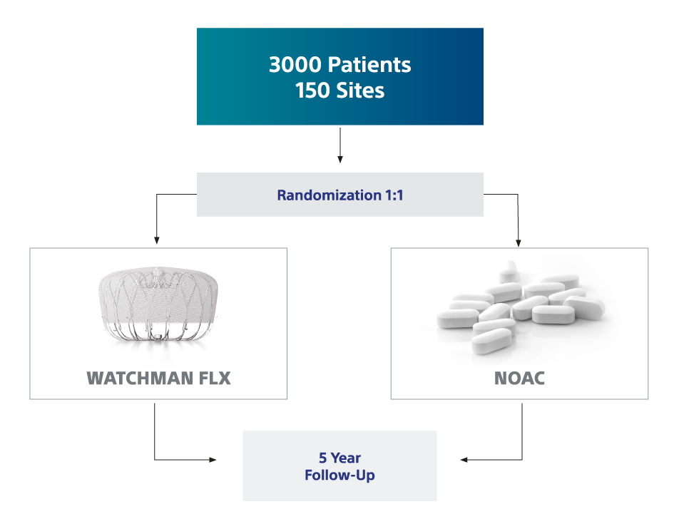 A hierarchy chart showing the study design of CHAMPION-AF.