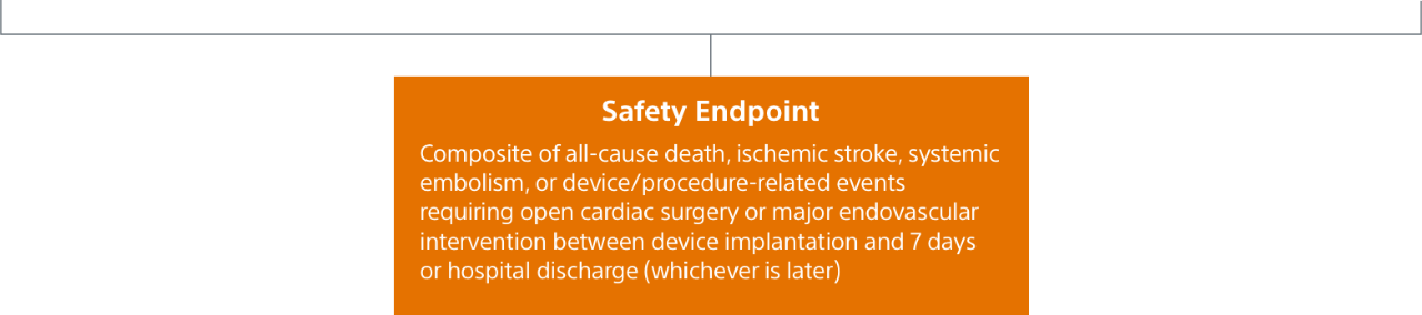 Safety Endpoint