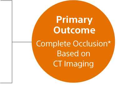 Primary Outcome Complete Seal* Based on CT Imaging