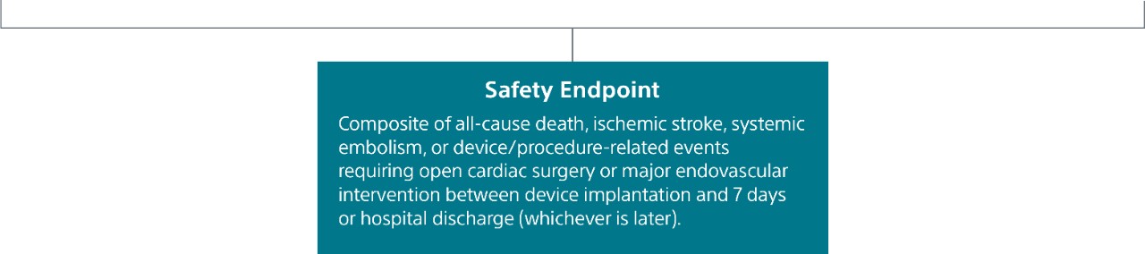 Safety Endpoint
