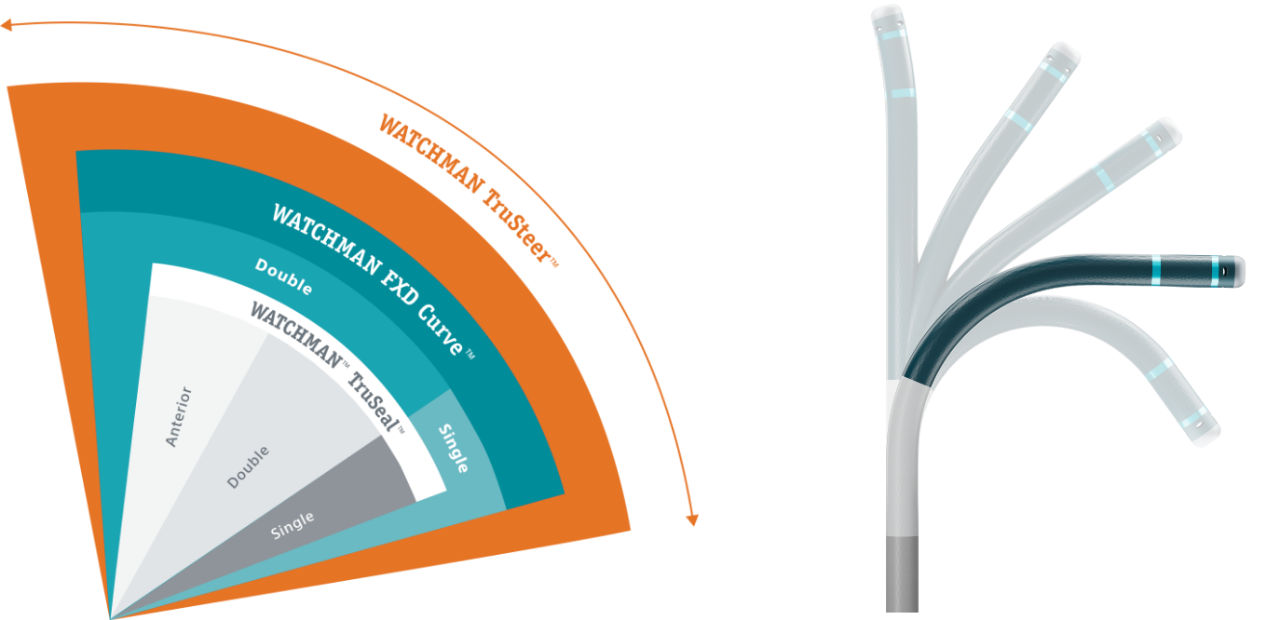WATCHMAN TruSteer range of motion graphic