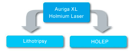 Auriga XL